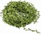 65FT Artificial Eucalyptus Vine Garland – Fake Hanging Leaves, Green Foliage Wreath Ribbon for Wedding, Wall, Crafts & Party Decoration